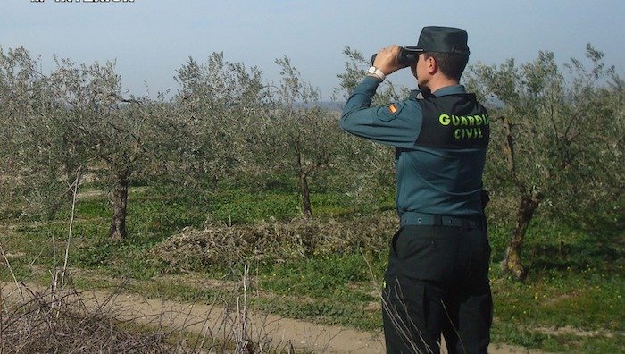 Guardia Civil