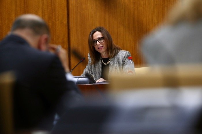 comisión de Fomento