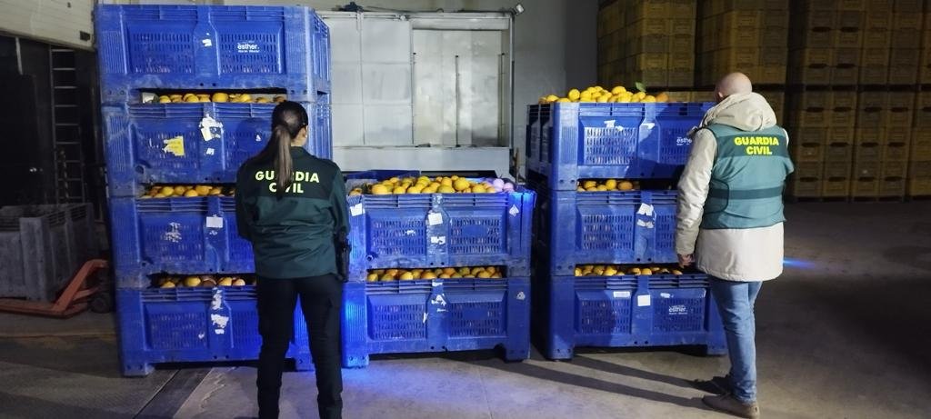 Investigan a ocho personas por el robo de naranjas en Zalamea