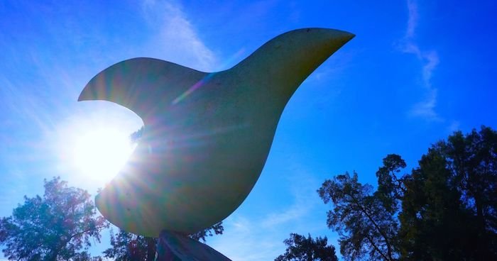 La UHU acoge la I Jornada Universitaria sobre No Violencia y Paz