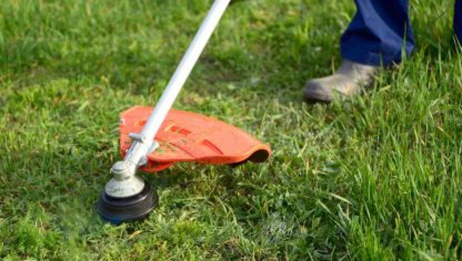 CSIF exige al Ayuntamiento que incluya los acuerdos aprobados en Pleno en el contrato de jardinería