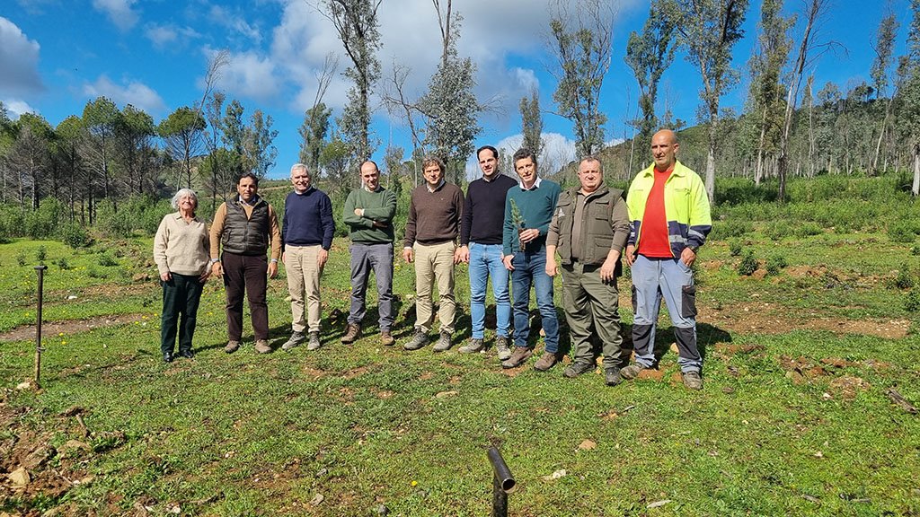 Atalaya repuebla 70 hectáreas del monte público La Alcaidía