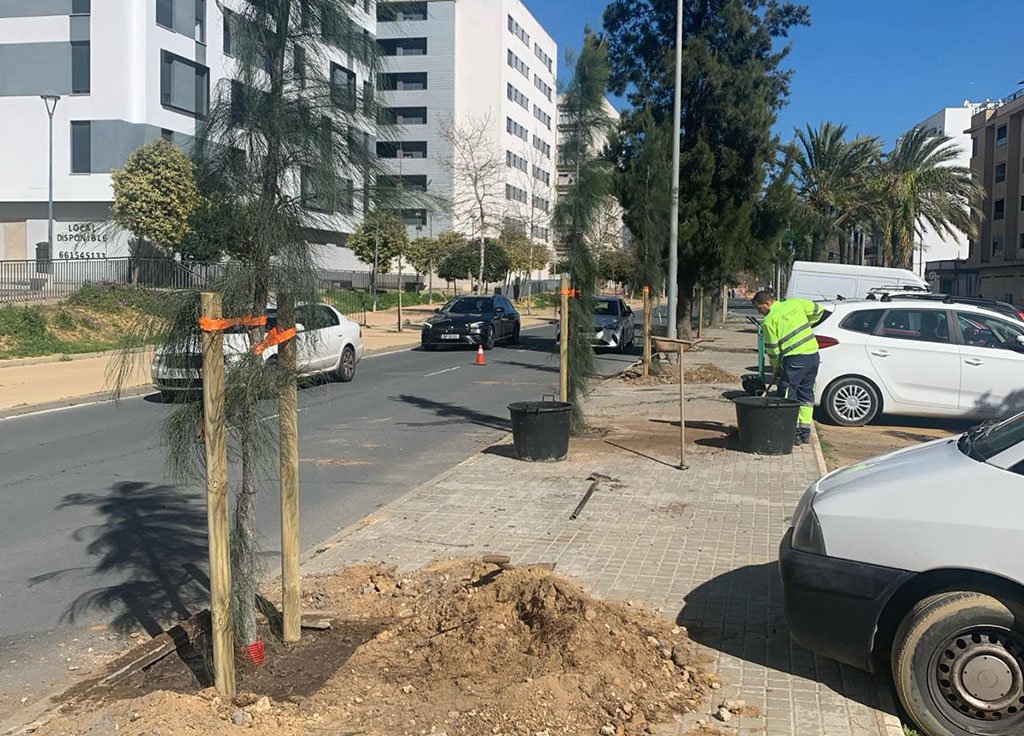 Huelva terminará la temporada de plantaciones con 600 nuevos árboles