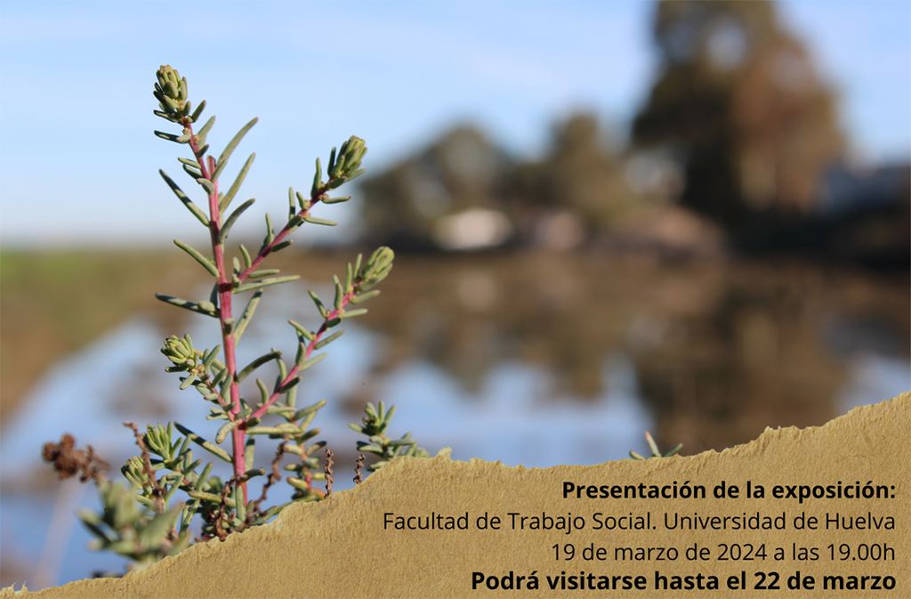 La Asociación Matilde organiza una exposición sobre ‘Las salinas de Cardeñas y sus gentes’