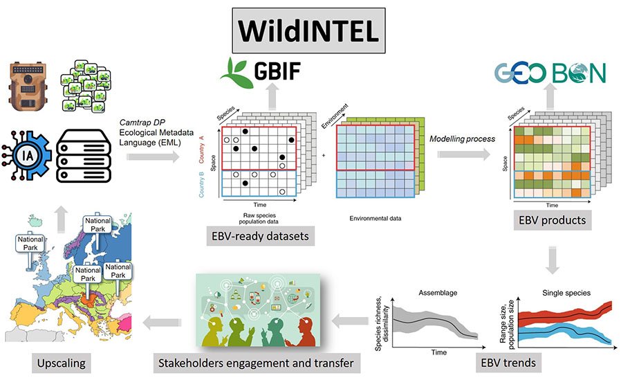La Universidad de Huelva monitoriza la vida silvestre con Inteligencia Artificial
