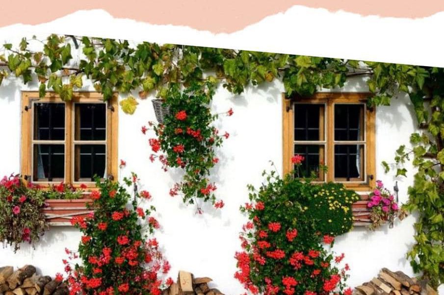 El Campillo convoca su I Concurso de Decoración de Fachadas y Ventanas