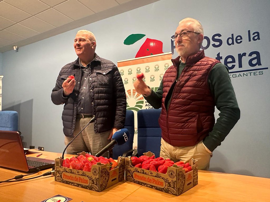 La Campaña ‘Yo Como Fresas de Huelva’ lanza su vídeo promocional antes de viajar a Bruselas