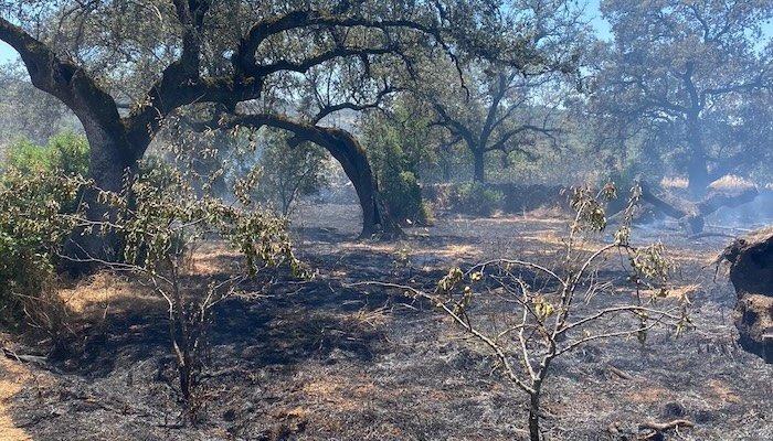 Bomberos actúan en el incendio de una finca de La Granada