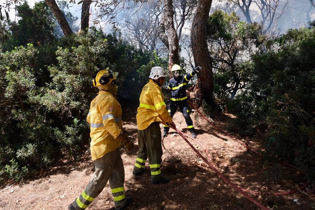 Declarado un incendio forestal en Bonares