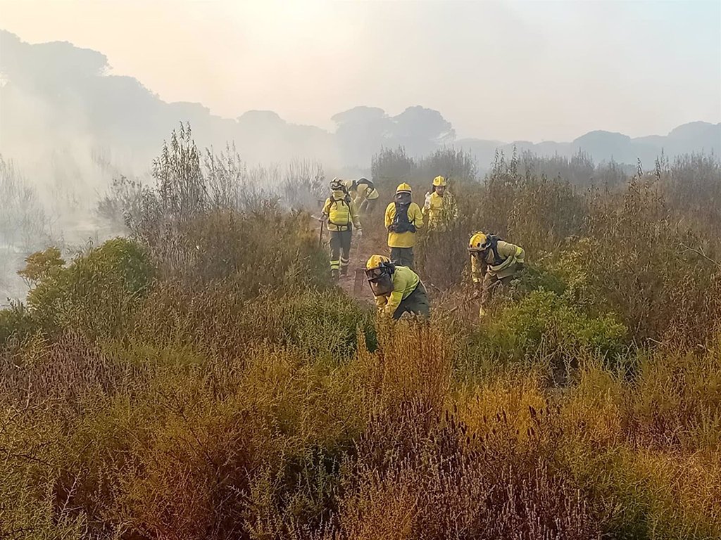 Declarado un incendio forestal en Moguer