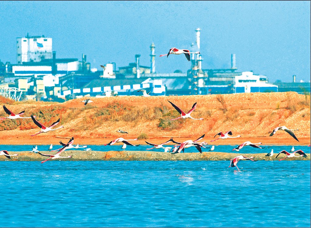 Atlantic Copper construirá una planta fotovoltaica de 30 MWp