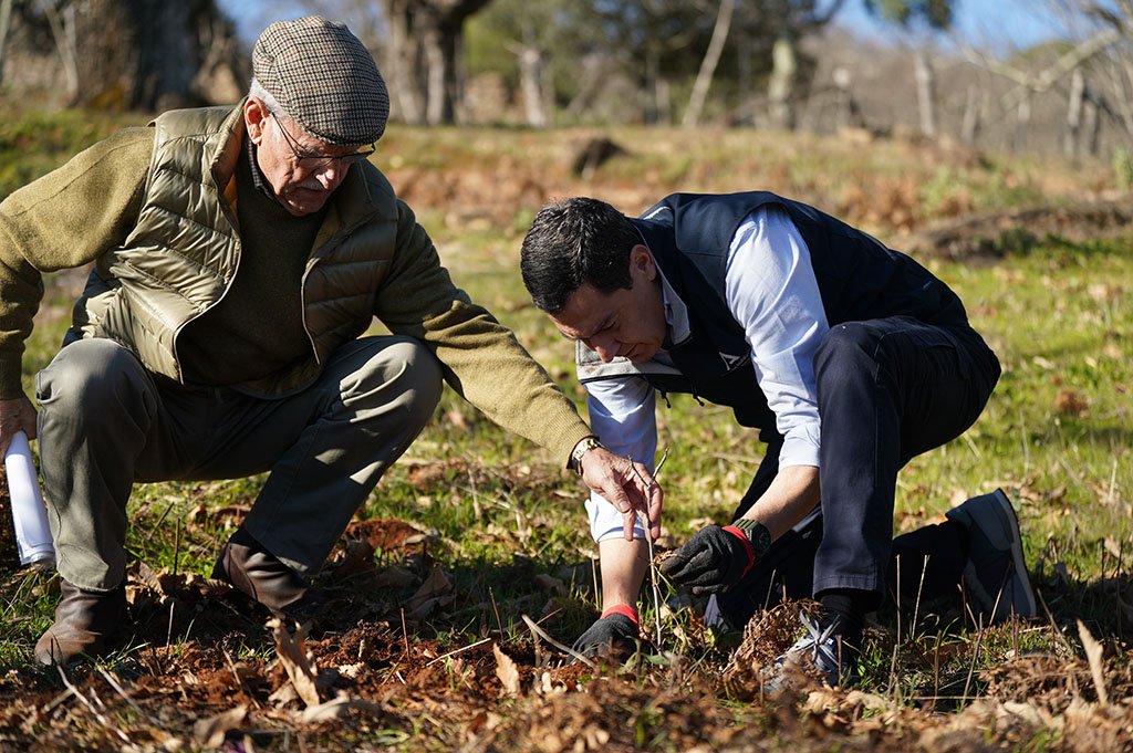 Moreno destaca la importancia del castañar como pilar económico de Andalucía