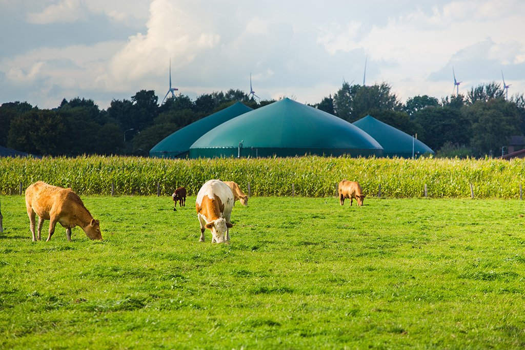 Moeve desarrollará 30 plantas de biometano con una inversión de 600 millones