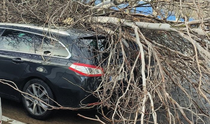 El temporal deja numerosas caídas de árboles e inundaciones en Huelva
