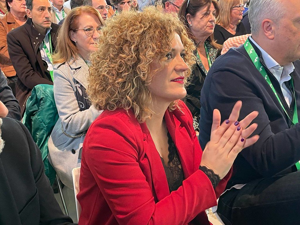 Limón aplaude la autorización del AVE: «El Gobierno cumple con Huelva»