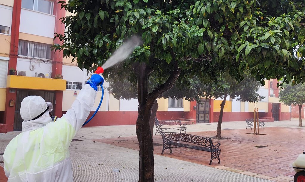 Nuevo método para controlar las plagas de insectos en los naranjos de Huelva