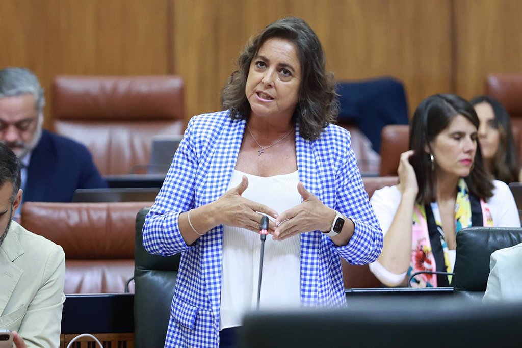 La Junta espera sellar el 60% del vertedero de Nerva en esta legislatura