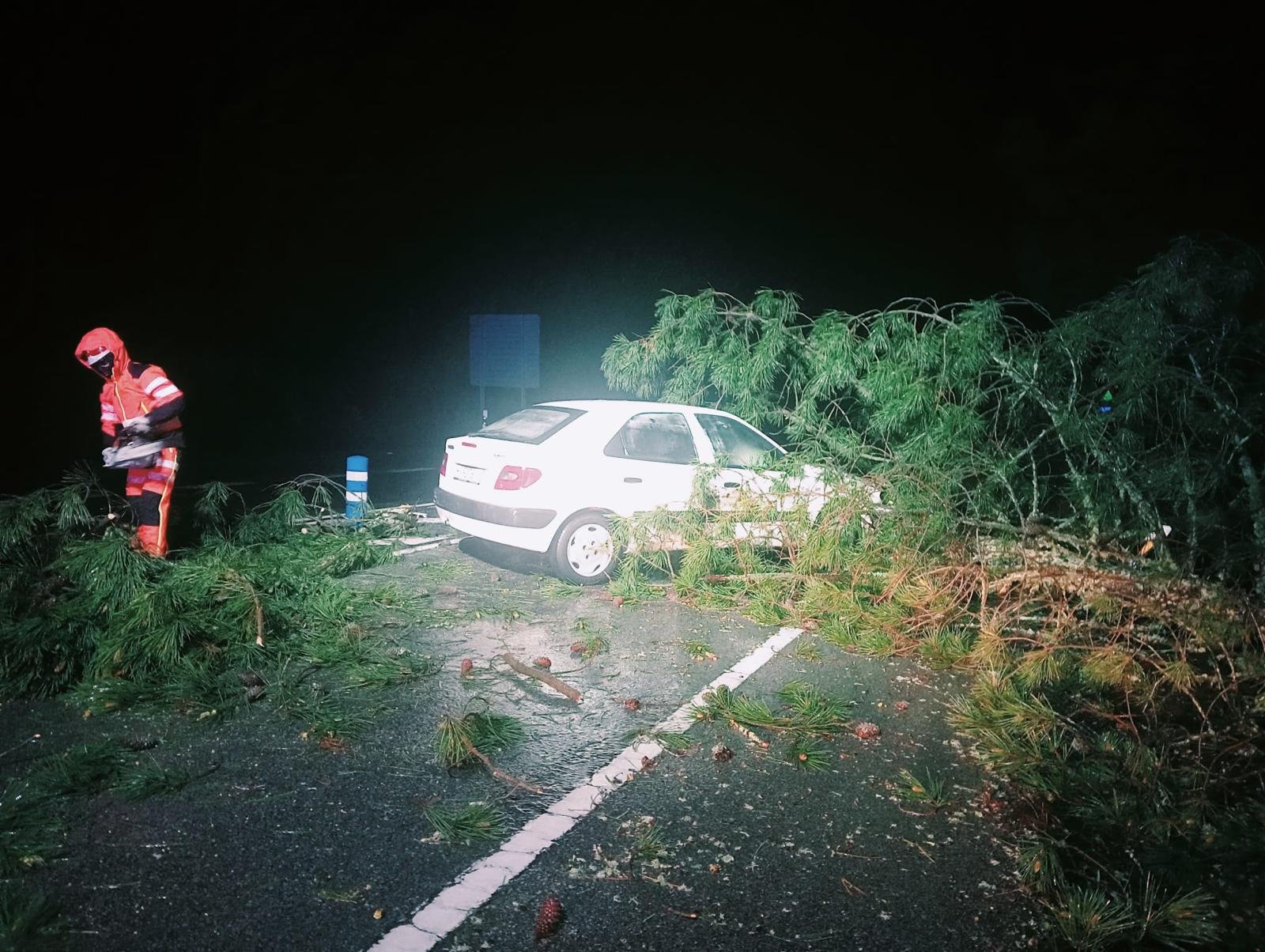 El temporal provoca el derrumbe de un muro y la caída de un árbol en Campofrío y Nerva